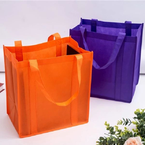 Non Woven Shopping Bag