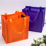 Non Woven Shopping Bag